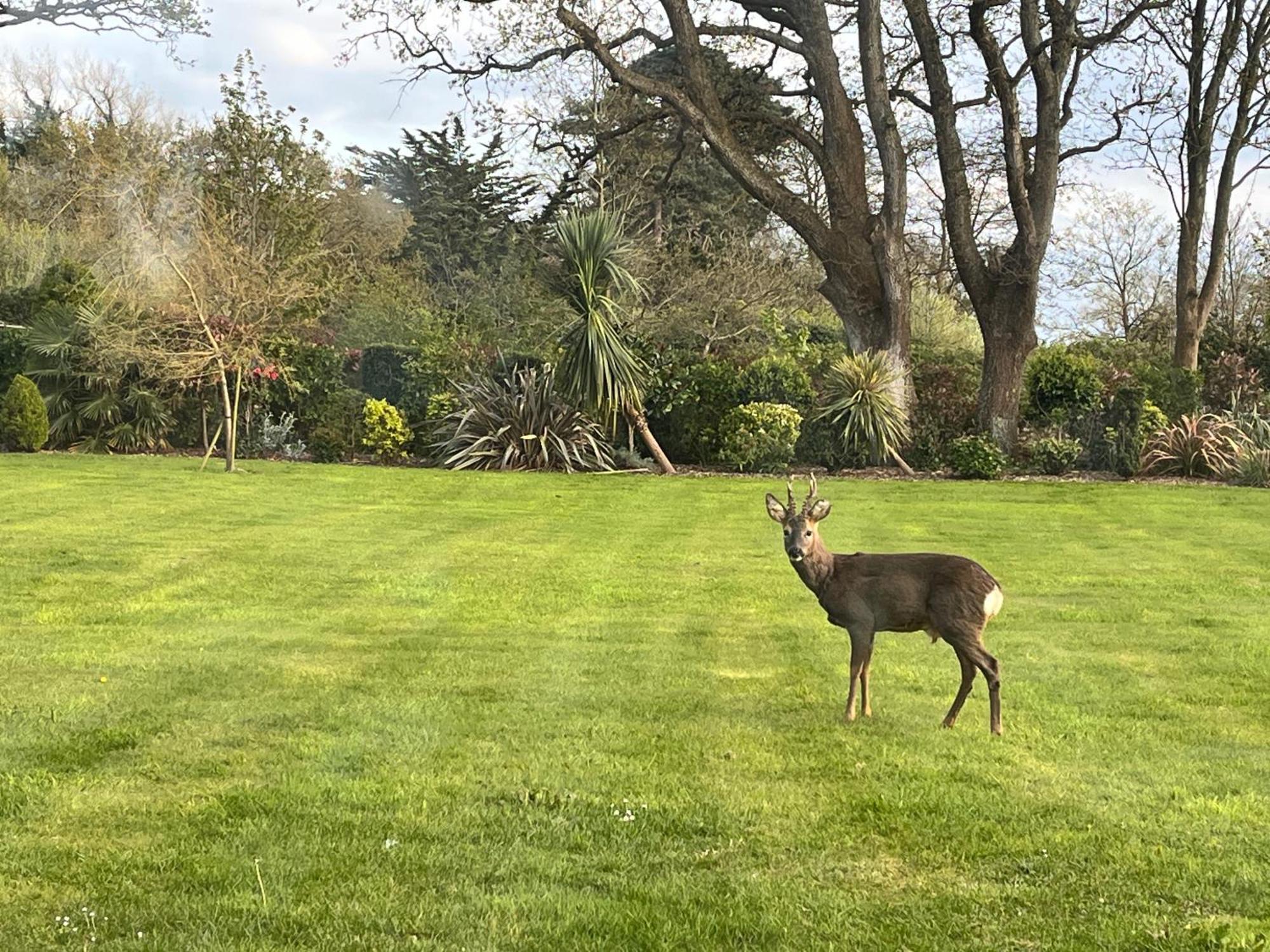 Stay At 'The Elms' In Tranquil Church Norton, Selsey - Ground Floor Bedroom, Own Private Bathroom, Quiet Beach, 2 Acre Garden By The Sea, On Edge Of Wildlife Nature Reserve Екстер'єр фото